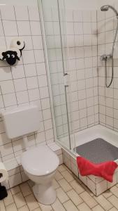 a small bathroom with a toilet and a shower at Dithmarscher Haus in Marne