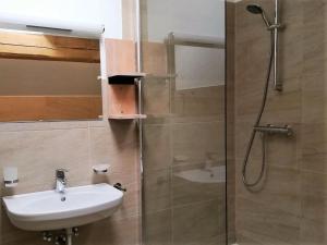 łazienka z umywalką i prysznicem w obiekcie Haus Planegg XL w mieście Rangersdorf