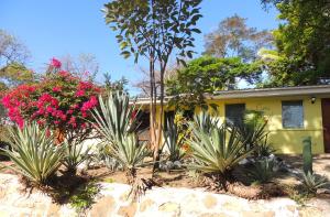 a house with a bunch of plants in front of it at Casa del Sol Bed and Breakfast in Contadora