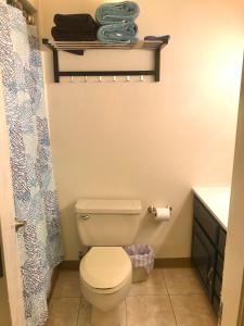 a bathroom with a toilet and a shower at K-Suite-Mt View-Resort-Pool-Hot Tub-Near RMNP & WP in Granby