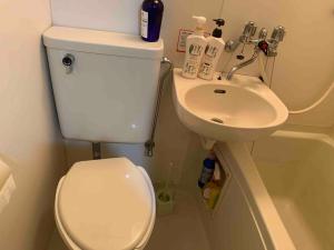 a small bathroom with a toilet and a sink at Jinpachi Building - Vacation STAY 63997v in Gifu