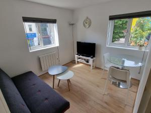 Gallery image of Bethnal Green/Brick Lane 2 Bedroom Apartment in London