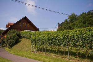 Ogród w obiekcie Gästehaus - Camping- Weinhof Radl
