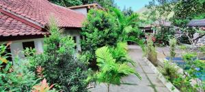 Zahrada ubytování Sammy Homestay