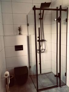 uma casa de banho com um chuveiro e um WC. em M2 em Złoty Stok