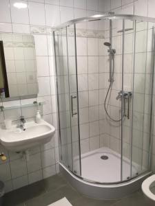 a bathroom with a shower and a sink at Lindenhof Ybbs in Ybbs an der Donau +34 photos