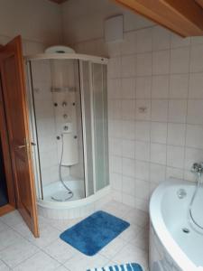 a bathroom with a shower and a toilet and a sink at Soubey (Clairbief) in Soubey