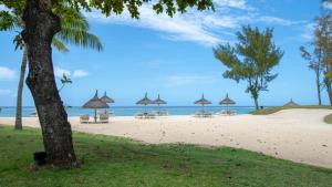 una spiaggia con ombrelloni e sedie sulla sabbia di Shanti Maurice Resort & Spa a Chemin Grenier