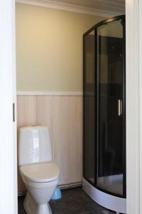 Un baño con inodoro y ducha de cristal. en Ylatupa, en Kesälahti