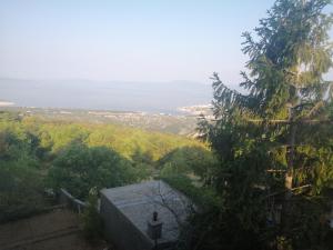Příroda nedaleko apartmánu