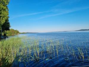 a view of a large body of water at Hideway Glamping Tree tent in Muurame +6 photos