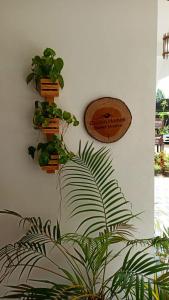 a plant hanging on a wall next to a sign at COCHIN HOMES in Ernakulam