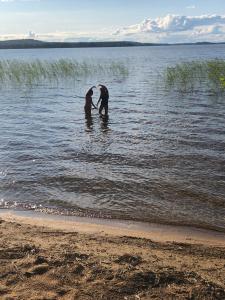 two people standing in the water near a beach at House with private beach in Rautalampi