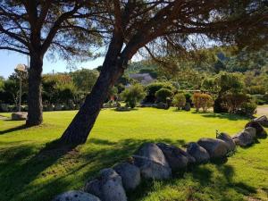 un parco con rocce e un albero e un campo di Les Jardins De Santa Giulia - Charmante chambre d'hôte a Porto Vecchio