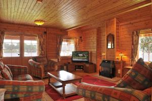 a living room with a fireplace and a television in a cabin at Ardlui Lochside Lodges in Ardlui