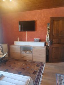 TV a/nebo společenská místnost v ubytování Chalet Charme Ovronnaz