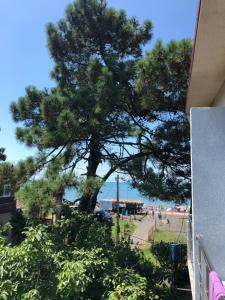 Paesaggio naturale nelle vicinanze dell'hotel