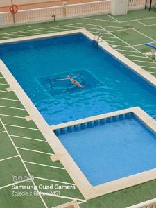eine Person, die in einem Schwimmbecken schwimmt in der Unterkunft Apartamentos Boutique Mar De Cristal in Mar de Cristal
