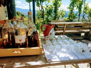 a box of wine bottles and glasses on a table at Vineyard Cottage Vercek in Novo Mesto