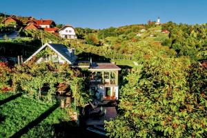 Gallery image of Vineyard Cottage Vercek in Novo Mesto