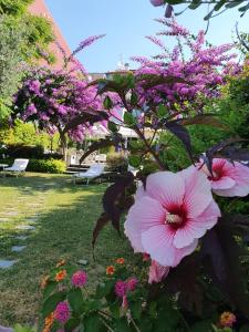 un grupo de flores rosas en un parque en Blu Hotel en Lavagna