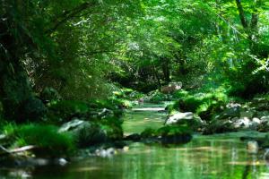 Φυσικό τοπίο κοντά σε αυτή η παραθεριστική κατοικία
