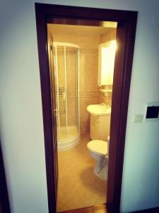 uma casa de banho com um WC e um chuveiro em GD Apartament em Bansko