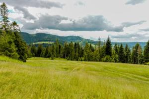 Paesaggio naturale nelle vicinanze dell'appartamento