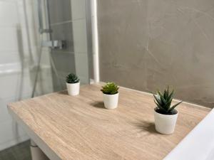 three potted plants sitting on a counter in a bathroom at LE MOBILE - Climatisé - Proche de la gare - Centre ville-PROPERTY RENTAL NM in Périgueux +60 photos