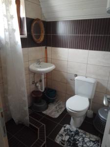 La salle de bains est pourvue de toilettes et d'un lavabo. dans l'établissement Etno Koliba Nikoleta, à Žabljak
