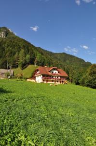 una casa grande en un campo con un campo verde en Country house - Turistična kmetija Ambrož Gregorc, en Solčava