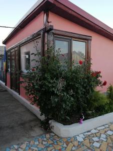 a pink house with a flower planter in front of it at Casa Ancora Sulina in Sulina