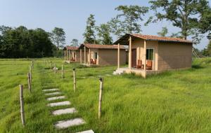 a row of cottages in the middle of a field at Namaste Bardiya Resort in Bhurkīā
