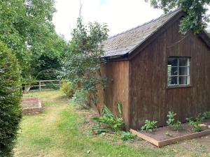 a small wooden building with a window in a yard at Orchard Cabin Herefordshire Wye Valley in Ross on Wye