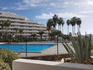 Bazén v ubytování Viña del mar - Costa Adeje nebo v jeho okolí