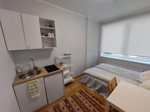 Kuchyň nebo kuchyňský kout v ubytování Pepleri mini apartment