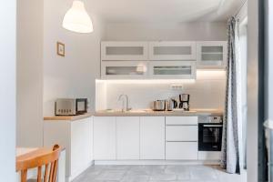Kuchyňa alebo kuchynka v ubytovaní Balokány apartman