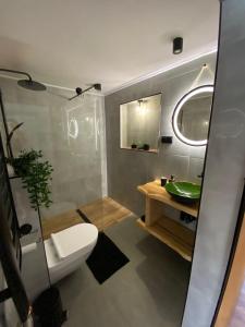 a bathroom with a toilet and a green sink at Apartament u Gazdy przy Gondoli in Szczyrk