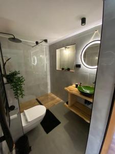 a bathroom with a toilet and a green sink at ROZETA SZCZYRK apartament przy Gondoli z sauną , jacuzzy, ogrodem i tarasem - dawniej U GAZDY in Szczyrk +57 photos