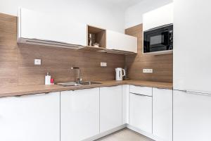 Kuchyň nebo kuchyňský kout v ubytování Hubertus Karlova Studánka
