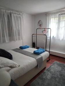 1 dormitorio con 2 camas con almohadas azules en beautiful apartment with garden, en Amélie-les-Bains-Palalda