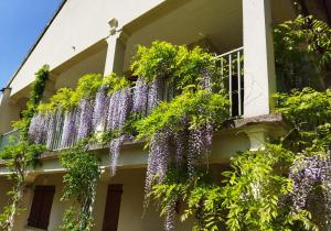 的住宿－Pavillon de Diane, Le Malesherbois，旁边是一座有紫藤的建筑