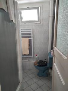 baño con aseo azul y ventana en beautiful apartment with garden, en Amélie-les-Bains-Palalda