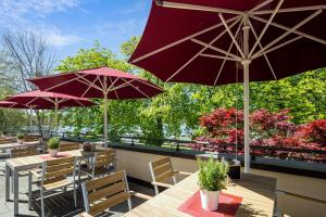 Zahrada ubytování Seehotel Rheinsberg