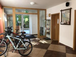 Jízda na kole v ubytování Apartmán 24 Lipno nebo okolí