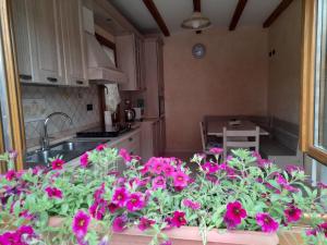 Afbeelding uit fotogalerij van B&B Picchio in Madonna di Fornelli +22 foto's