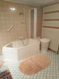 a bathroom with a shower and a tub and a rug at Landhaus Wohnung in D 63667 Nidda, Gäßchen 8 Erdgeschoss rechts in Nidda
