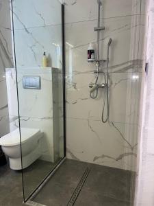 a bathroom with a glass shower with a toilet at Denis Boutique in Eforie Nord
