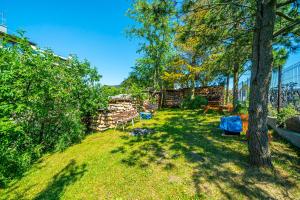 a yard with a tree and chairs and a fence at Arka Przystań in Jastrzębia Góra