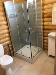 a shower in a bathroom with a toilet at Ignaszówka in Radawa